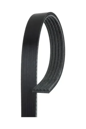 Worldwide Shipping GAT-K050355 - Serpentine Belt | Gates