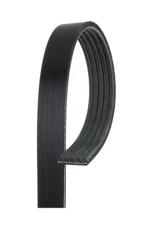 Worldwide Shipping GAT-K050420RPM - Serpentine Belt | Gates