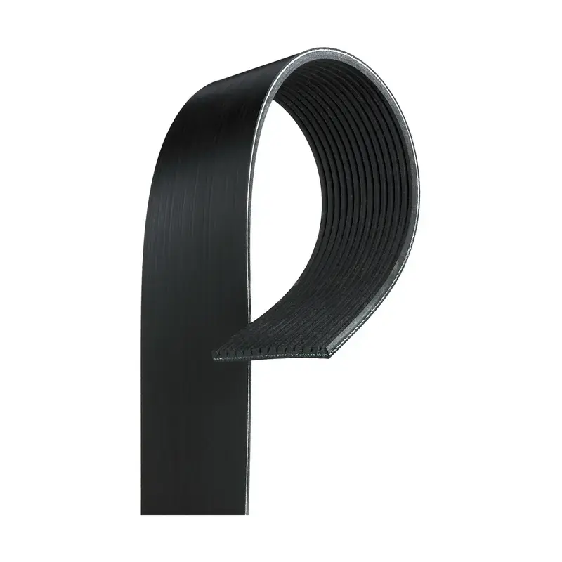GAT-K140618 - Serpentine Belt | Gates Must Have