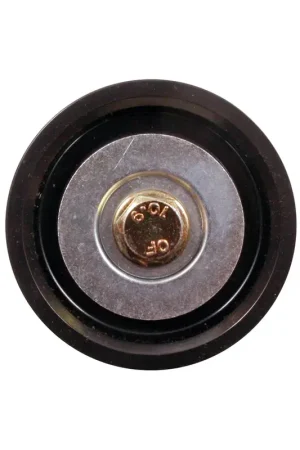 LTN-900379A - Accessory Drive Belt Idler Pulley | Litens Same Day Shipping