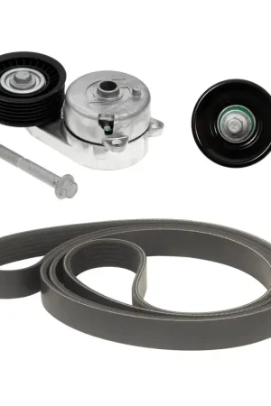 One Day Deal LTN-LV999010C - Serpentine Belt Drive Component Kit | Litens