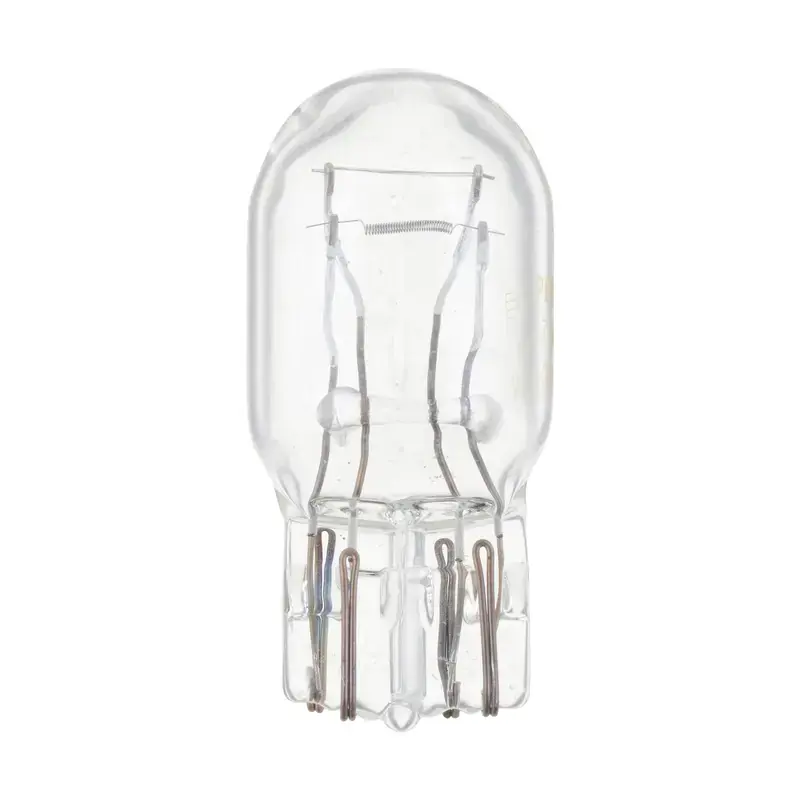 PHI-7443CP - Turn Signal Light Bulb | Philips Latest