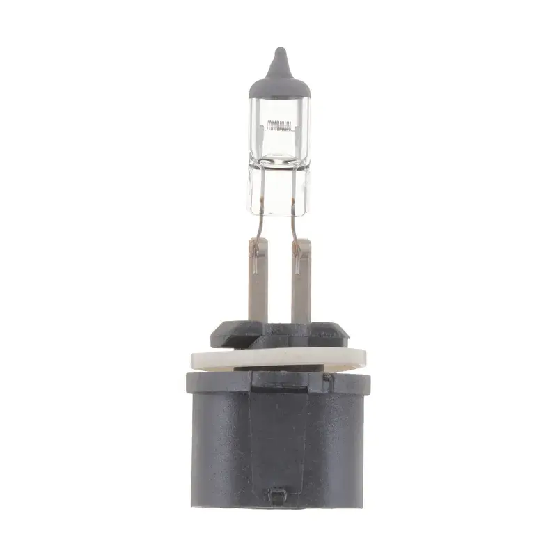 PHI-893B1 - Fog Light Bulb | Philips Shop Now