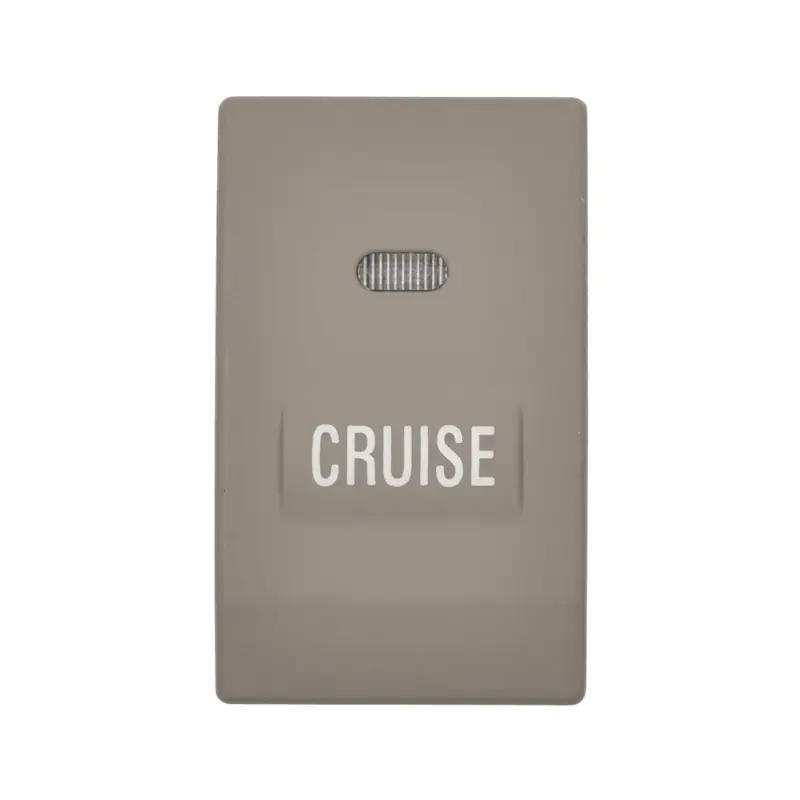 Professional Grade SMP-CCA1171 - Cruise Control Switch | Standard Motor Products