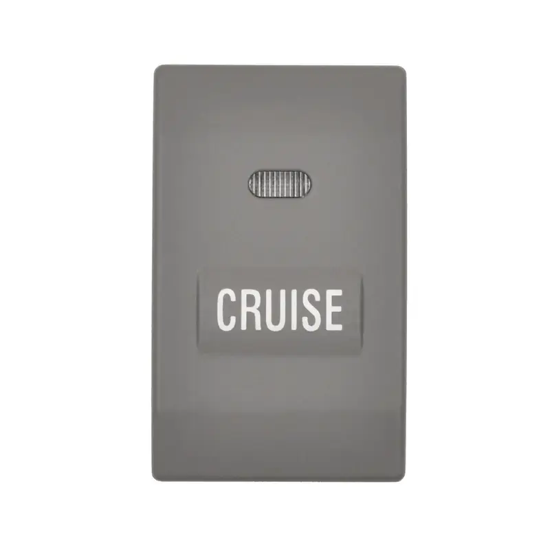 Holiday Sale SMP-CCA1175 - Cruise Control Switch | Standard Motor Products