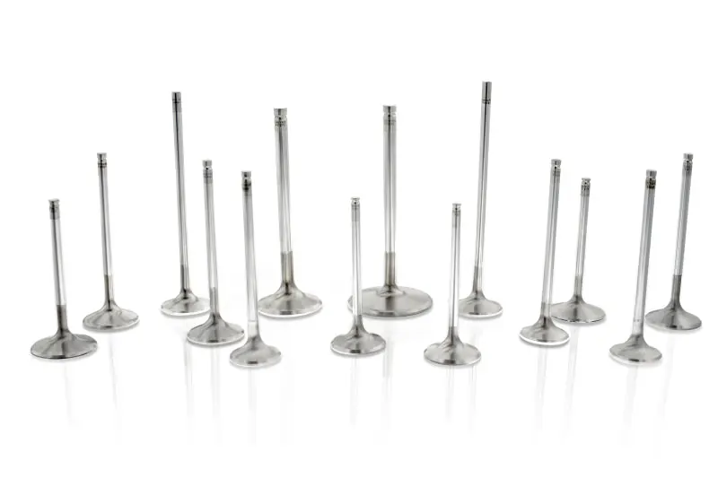 Ferrea Honda D16Z6/Y5/Y7/Y8 30mm 5.48mm 20 Deg S-Flo Rad Grv Stk 6000 Series Int Valve - Set of 8 Flash Sale