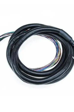 Free Shipping MicroSquirt Wiring Harness 8 Foot (MS1/MS2/MS3 Ready) DIYAutoTune