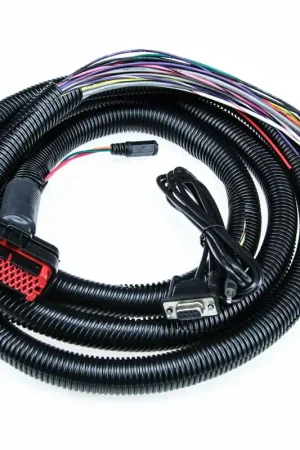 MicroSquirt Wiring Harness 8 Foot DIYAutoTune Sale