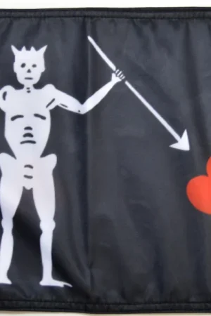Blackbeard Flag Forever Wave Get Yours