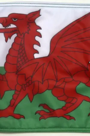 Wales Flag Forever Wave Affordable