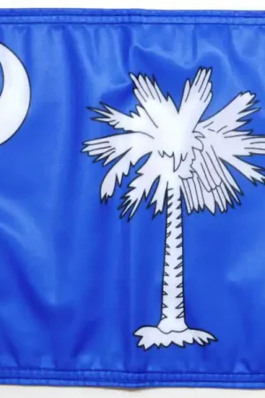 Big Sale State Flag South Carolina Forever Wave