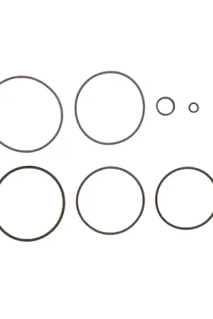 Fan Favorite Bilstein 13-348489 B1 (Components) - Replacement Top Cap Seal Kit