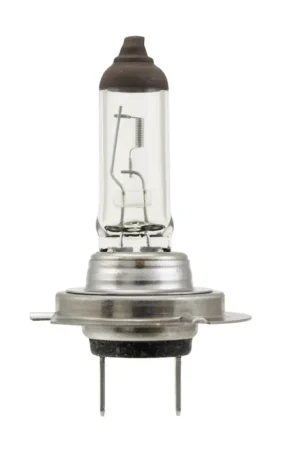 Hella Bulb H7 12V 70W PX26d T4.625 Big Sale