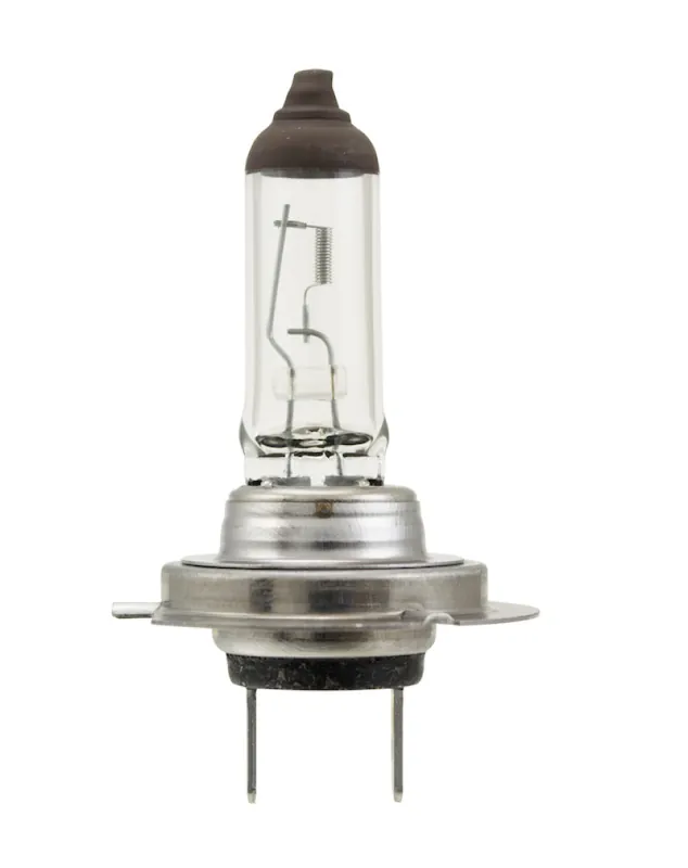 Hella Bulb H7 12V 70W PX26d T4.625 Big Sale