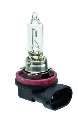 Hella Bulb H9 12V 65W PGJ19-5 T4 Exclusive