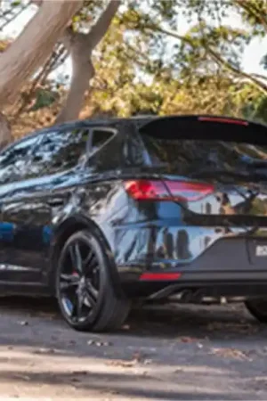 Borla 14-19 Seat Leon Cupra 2.0L AT/MT FWD 4DR Stainless Steel S-Type Catback Exhaust Brushed Tip Warranty Included